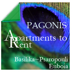 pagonis rooms to let basilika evia